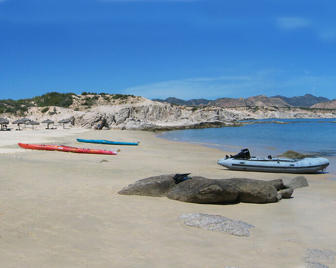 Cabo Pulmo National Marine Park & Los Arbolitos