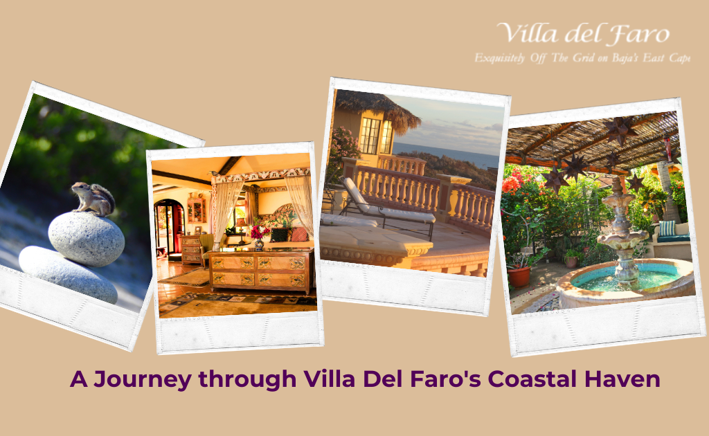 Various pictures from Villa Del Faro
