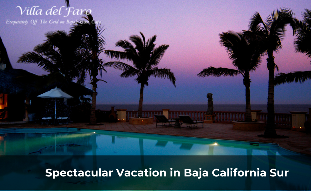 Your Ultimate Guide to Planning a Spectacular Vacation in Baja California Sur