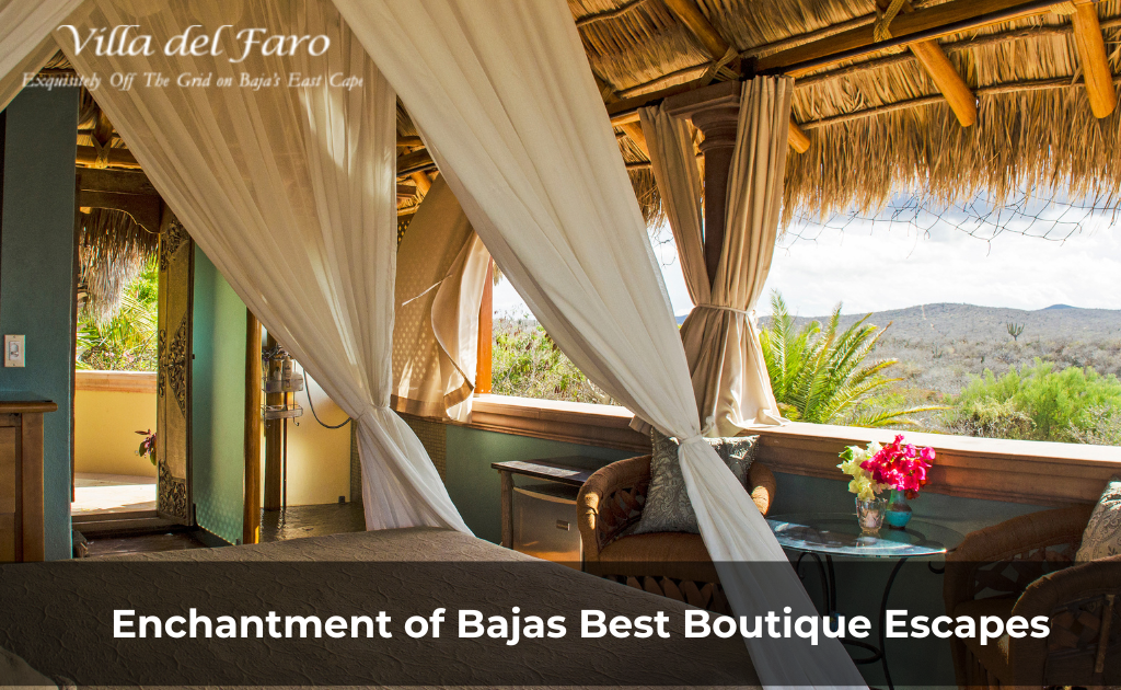 Discover the Enchantment of Baja California Sur’s Best Boutique Escapes